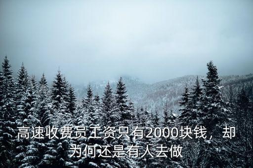 聊城高速收費站工資是多少,都是年輕漂亮女生