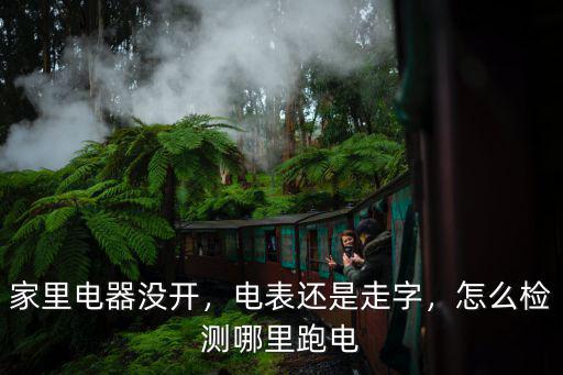 汕頭電表怎么檢測,電表還是走字