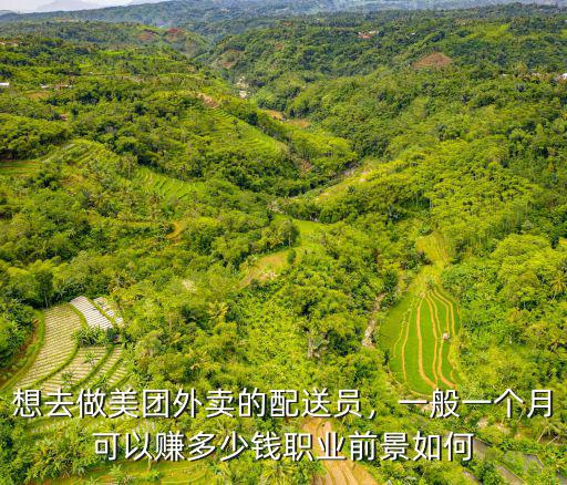 想去做美團(tuán)外賣的配送員，一般一個月可以賺多少錢職業(yè)前景如何