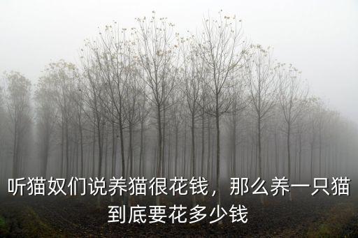 聽貓奴們說養貓很花錢，那么養一只貓到底要花多少錢