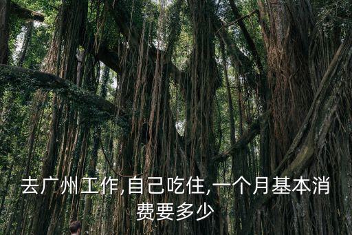 廣州住宿一個月多少錢一天,你一個月花多少錢夠用