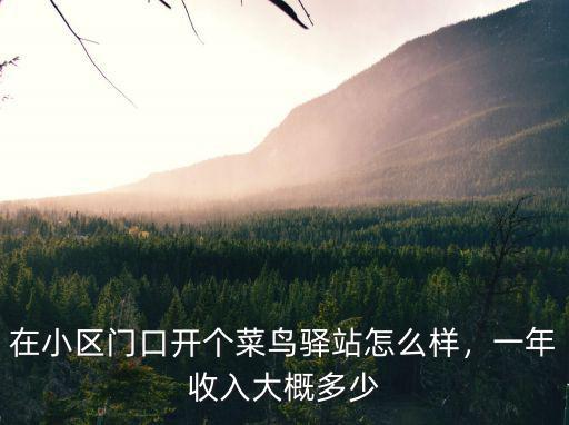 在小區門口開個菜鳥驛站怎么樣，一年收入大概多少