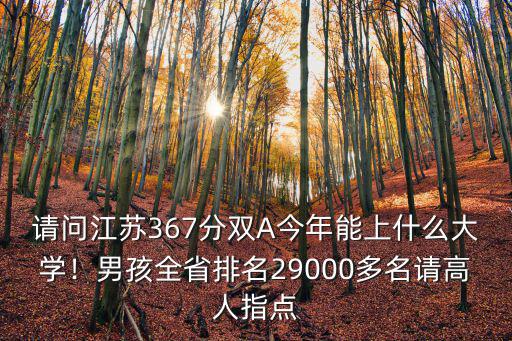 請問江蘇367分雙A今年能上什么大學！男孩全省排名29000多名請高人指點