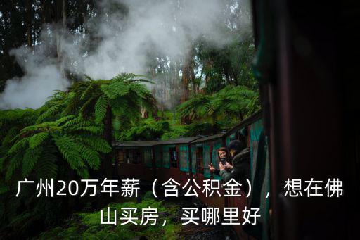 12000在佛山哪里買(mǎi)房,想在佛山買(mǎi)房