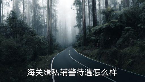 海關(guān)緝私輔警待遇怎么樣