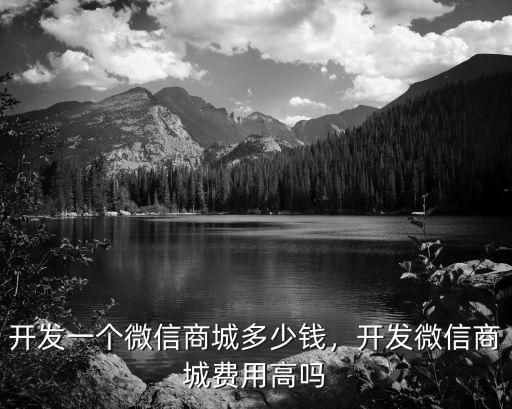 東莞附近做商城開發多少錢,返利商城開發需要多少錢