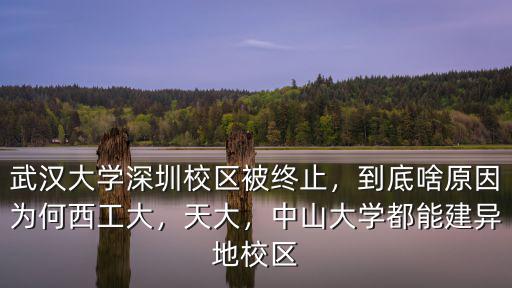 武漢大學深圳校區被終止，到底啥原因為何西工大，天大，中山大學都能建異地校區