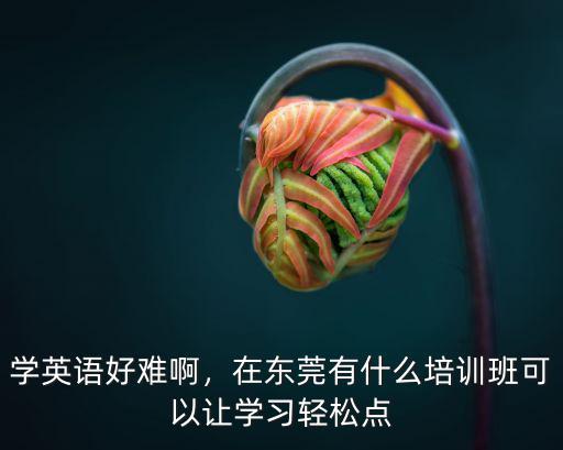 學英語好難啊，在東莞有什么培訓班可以讓學習輕松點