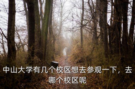 中山大學(xué)東校區(qū)有多少學(xué)生,中山大學(xué)有幾個(gè)校區(qū)