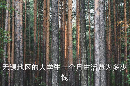 無錫地區的大學生一個月生活費為多少錢