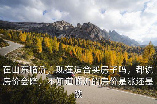 在山東臨沂，現在適合買房子嗎，都說房價會降，不知道臨沂的房價是漲還是跌