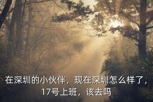 在深圳的小伙伴，現在深圳怎么樣了，17號上班，該去嗎
