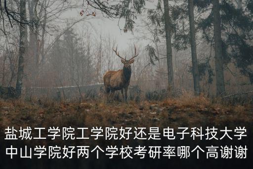 鹽城工學(xué)院工學(xué)院好還是電子科技大學(xué)中山學(xué)院好兩個學(xué)?？佳新誓膫€高謝謝