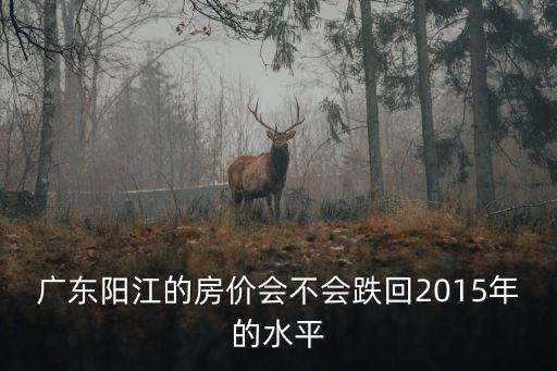 廣東陽江市房價怎么樣,陽江的房價會下降嗎