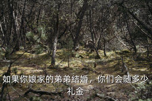 淮安弟弟結(jié)婚姐姐要隨多少禮,如果你娘家的弟弟結(jié)婚