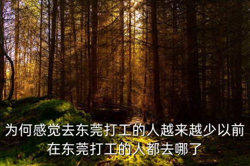 東莞方澤槐哪里人,以前在東莞打工的人都去哪了