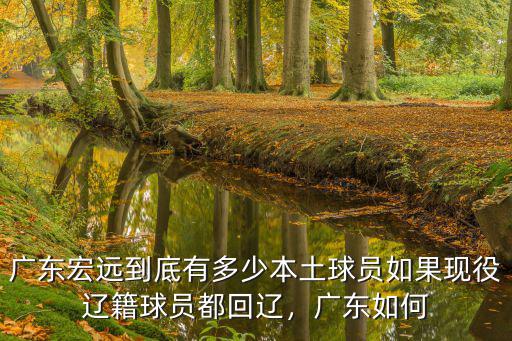 廣東宏遠有多少工業園,廣東宏遠到底有多少本土球員