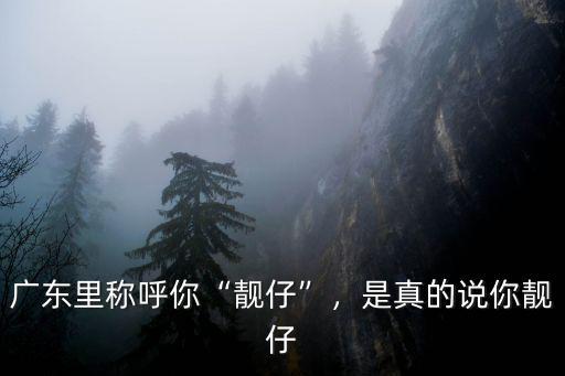 廣東里稱呼你“靚仔”，是真的說你靚仔