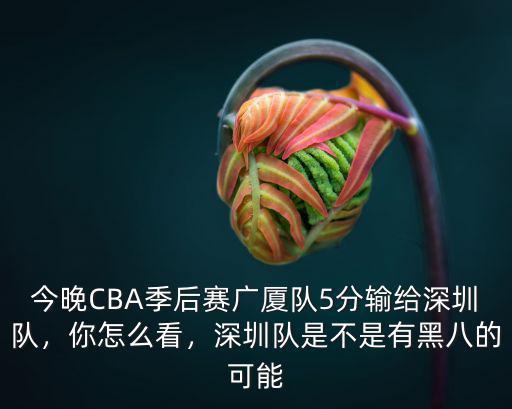 今晚CBA季后賽廣廈隊5分輸給深圳隊，你怎么看，深圳隊是不是有黑八的可能