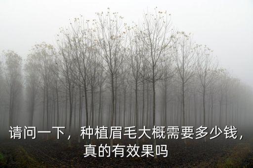 請問一下，種植眉毛大概需要多少錢，真的有效果嗎