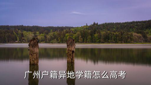 廣州戶籍異地學(xué)籍怎么高考