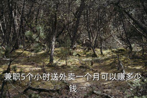 兼職5個小時送外賣一個月可以賺多少錢