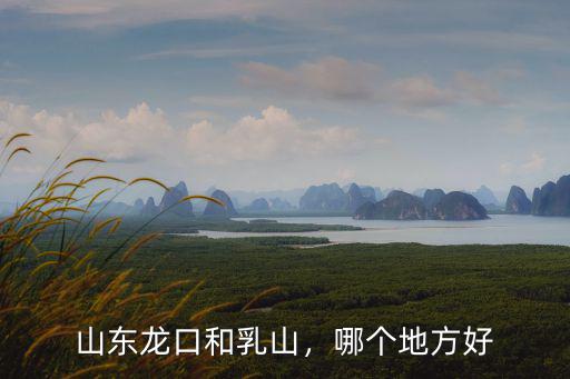 山東龍口和乳山，哪個地方好