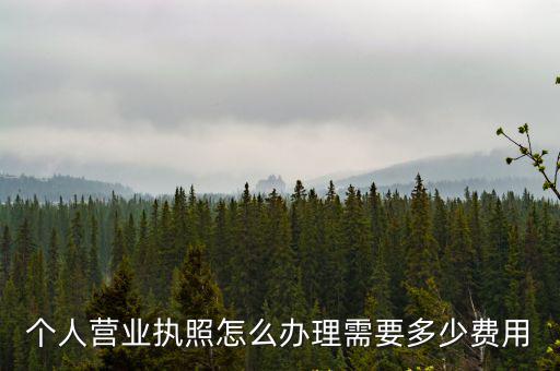 鹽城個人辦理營業(yè)執(zhí)照多少錢,需要多少費(fèi)用