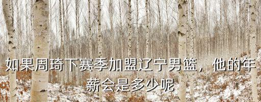 如果周琦下賽季加盟遼寧男籃，他的年薪會是多少呢