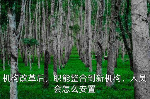 機(jī)構(gòu)改革后，職能整合到新機(jī)構(gòu)，人員會怎么安置