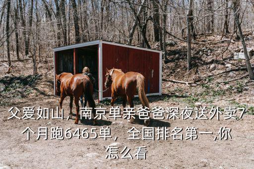 南京外賣每天能送多少單,送外賣真的能月入七八千么