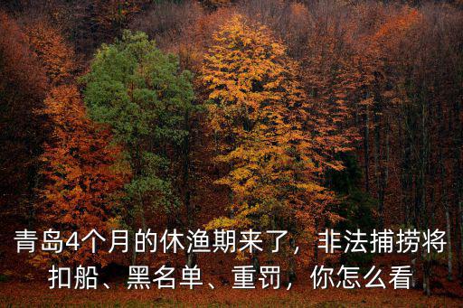 青島4個月的休漁期來了，非法捕撈將扣船、黑名單、重罰，你怎么看
