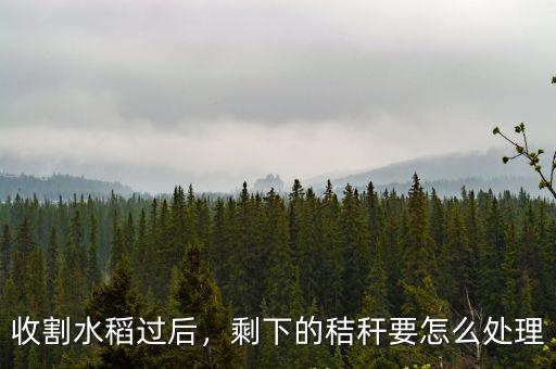 廣東省稻稈是怎么處理的,農民都是怎么處理麥秸的呢