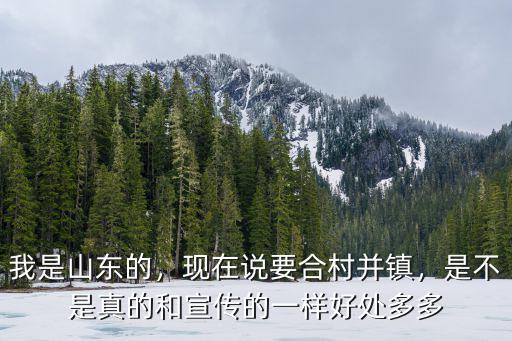 山東多少個縣合村并鎮(zhèn),山東做為合村并鎮(zhèn)的試點