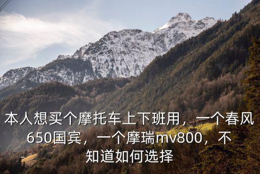 本人想買個摩托車上下班用，一個春風650國賓，一個摩瑞mv800，不知道如何選擇