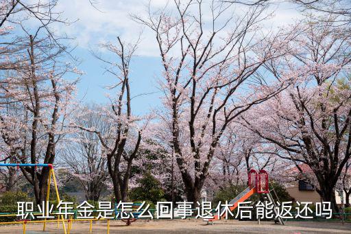 江蘇職業年金退休能拿多少,工齡41.3年