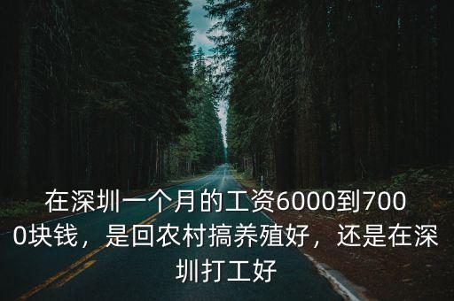 在深圳一個月的工資6000到7000塊錢，是回農村搞養殖好，還是在深圳打工好