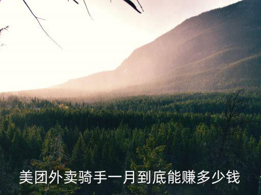 濰坊美團(tuán)專送現(xiàn)在多少錢一單,一般一個(gè)月可以賺多少錢