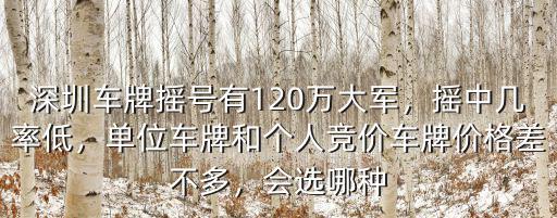 現(xiàn)在深圳有多少人在搖車牌,深圳車牌搖號有120萬大軍