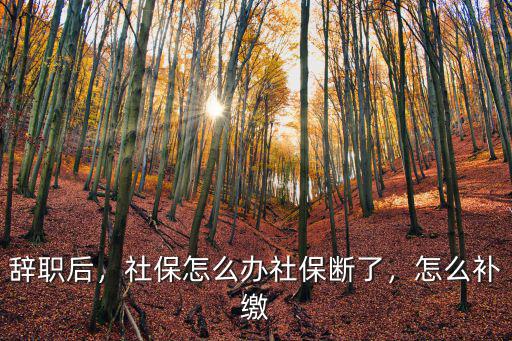 廣州離職了社保斷了怎么辦,曾經(jīng)繳納廣州社保