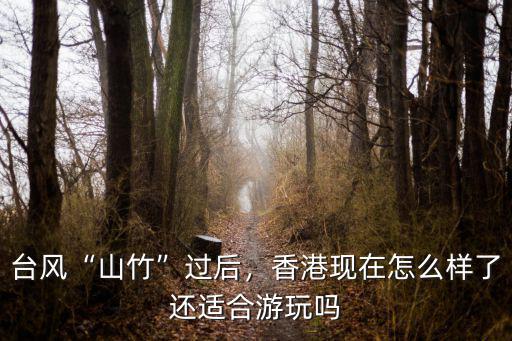 臺風“山竹”過后，香港現在怎么樣了還適合游玩嗎