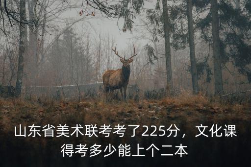 山東聯(lián)考220文化課多少,山東省美術(shù)聯(lián)考考了225分