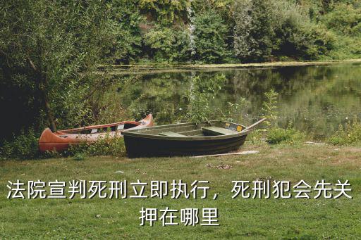 揭陽市在哪里執行死刑,法院宣判死刑立即執行