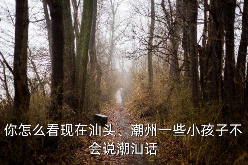 你怎么看現在汕頭、潮州一些小孩子不會說潮汕話