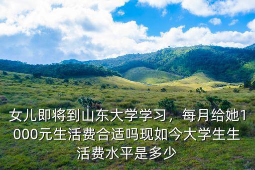 女兒即將到山東大學學習，每月給她1000元生活費合適嗎現如今大學生生活費水平是多少