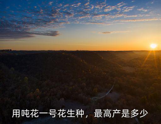 山東花生產(chǎn)量每畝是多少,最高產(chǎn)是多少