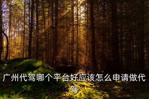 廣州代駕哪個平臺好應(yīng)該怎么申請做代駕
