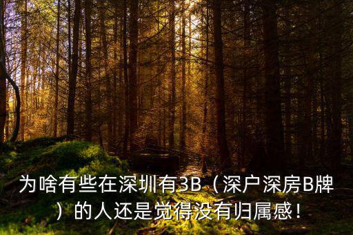 為啥有些在深圳有3B（深戶深房B牌）的人還是覺得沒有歸屬感！