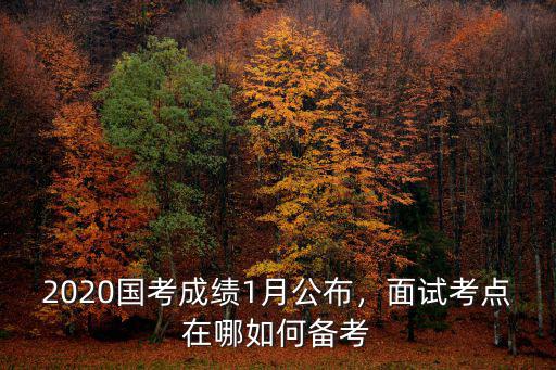 2020東莞國考考點有哪里,2020國考成績1月公布