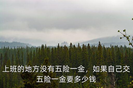 德州五險(xiǎn)一金公司代繳多少,如果自己交五險(xiǎn)一金要多少錢